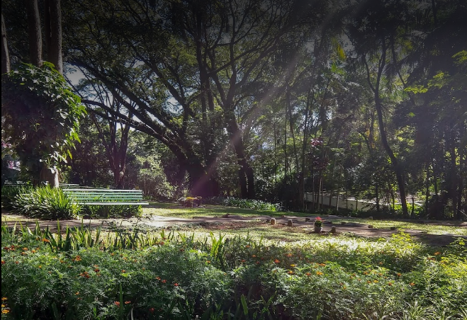 floricultura cemitério da paz